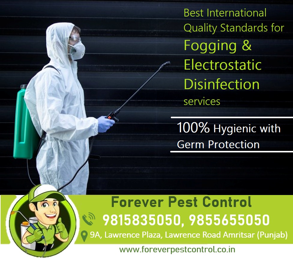 Disinfection Service